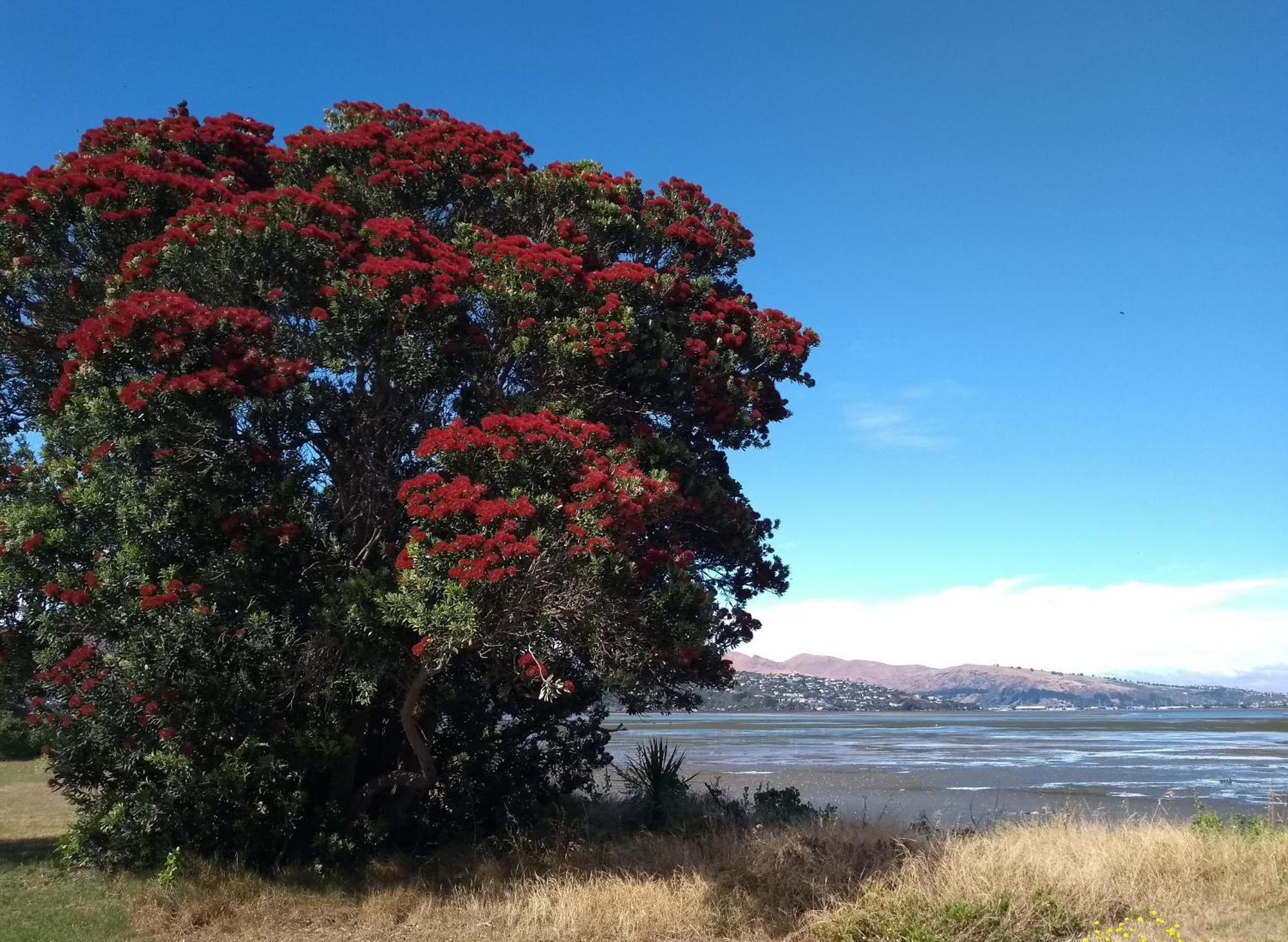 South Brighton Holiday Park Christchurch Esterno foto